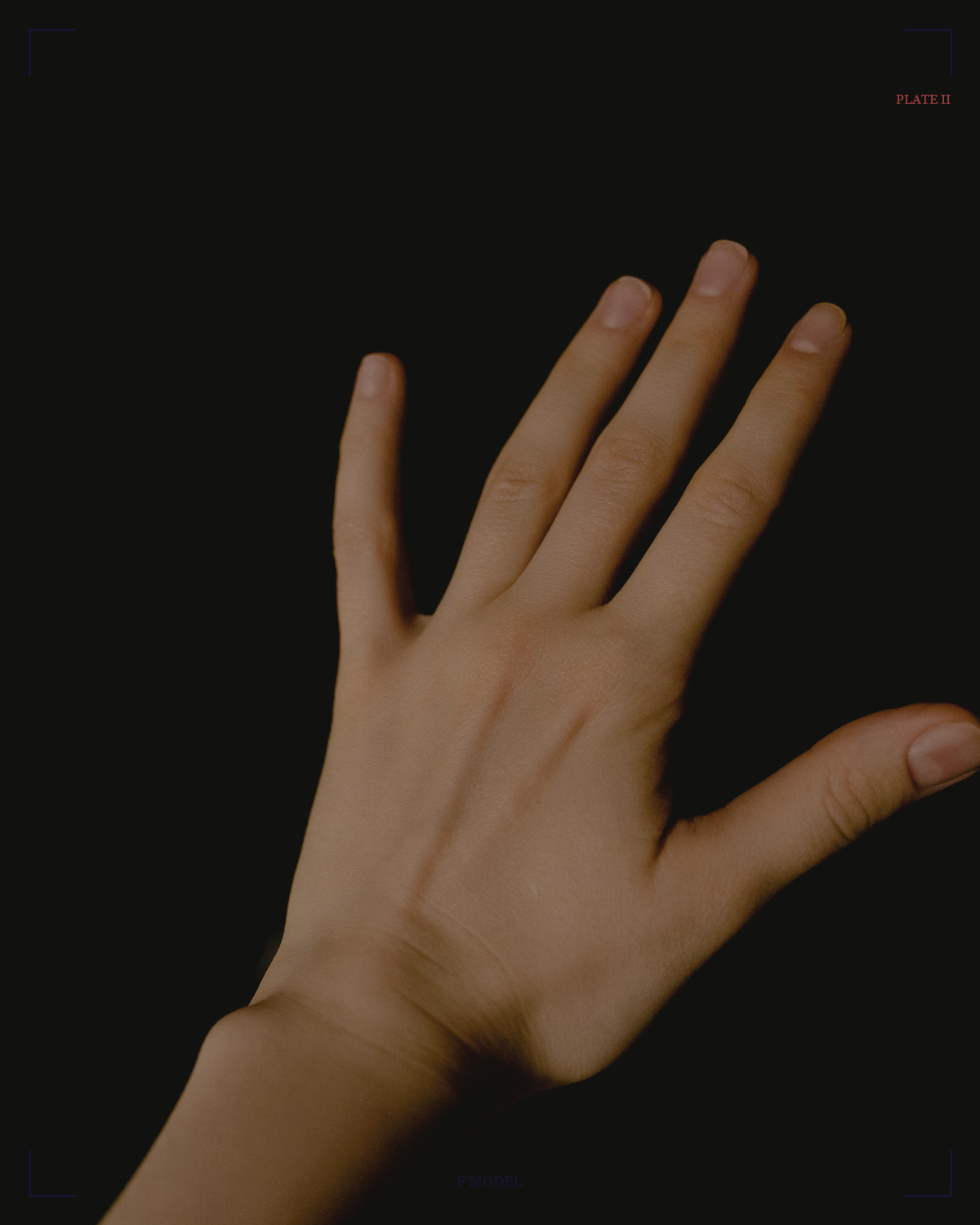 施无畏印 / Abhaya · No Fear mudra
