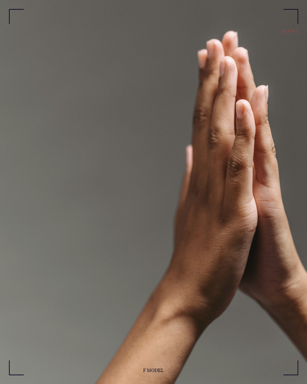 合十印 / Anjali · Salutation mudra