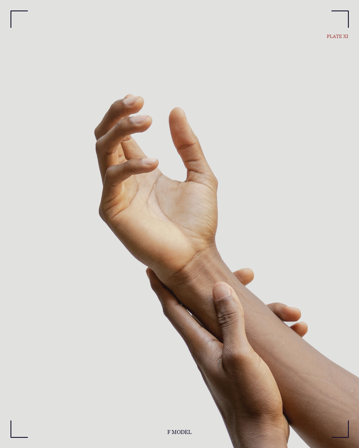触地印 / Bhumisparsha · Earth Touching mudra