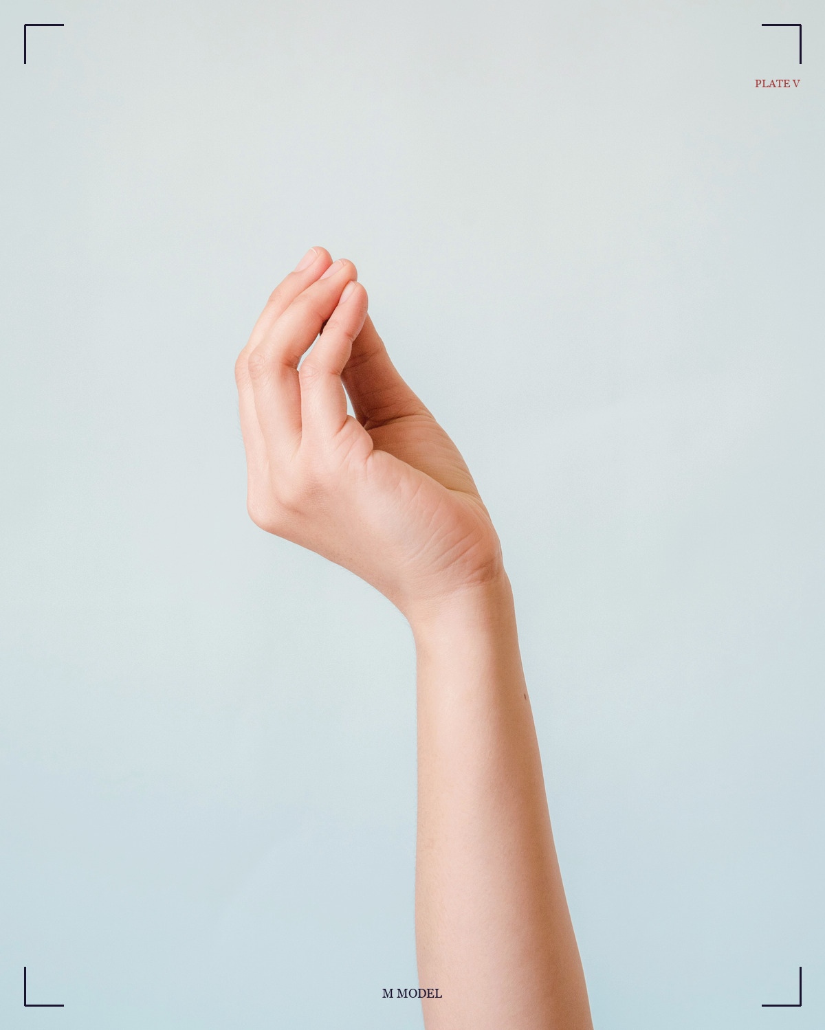 法轮印 / Dharmachakra · Wheel mudra