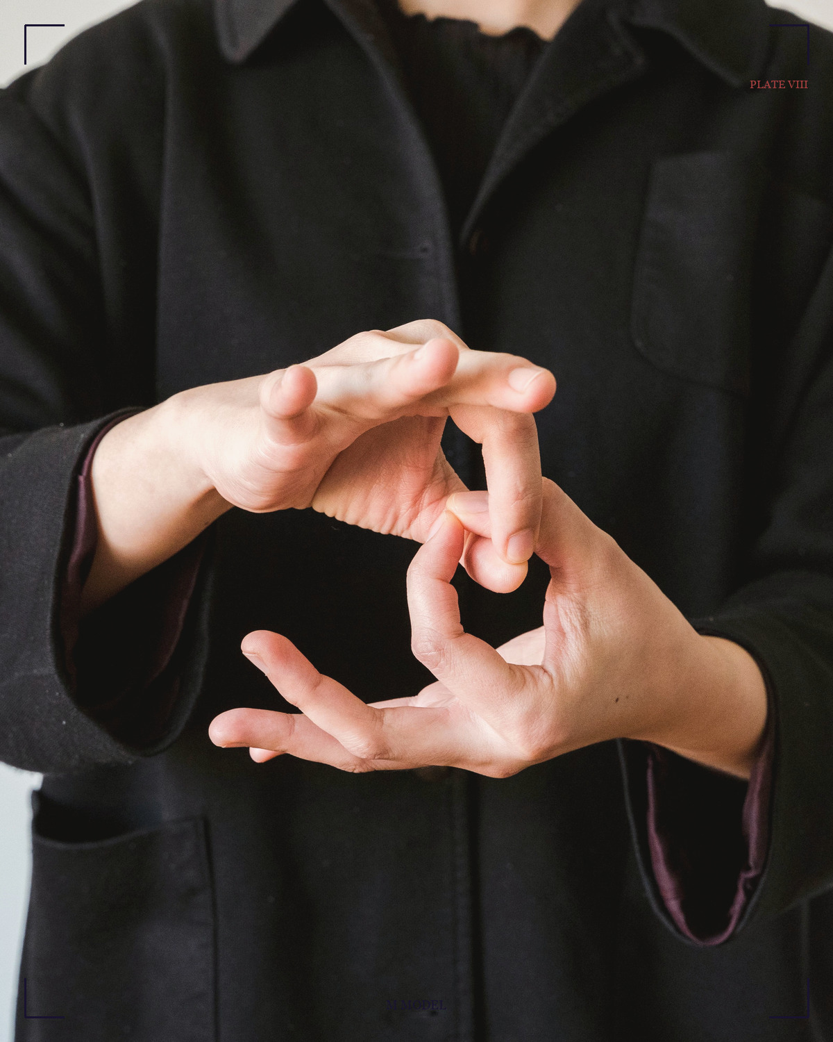 禅定印 / Dhyana · Meditation mudra