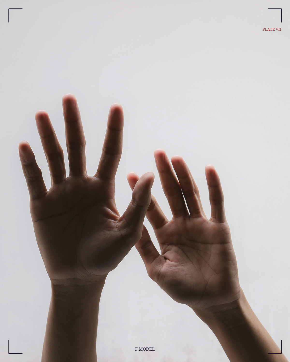 莲花印 / Padma · Lotus mudra