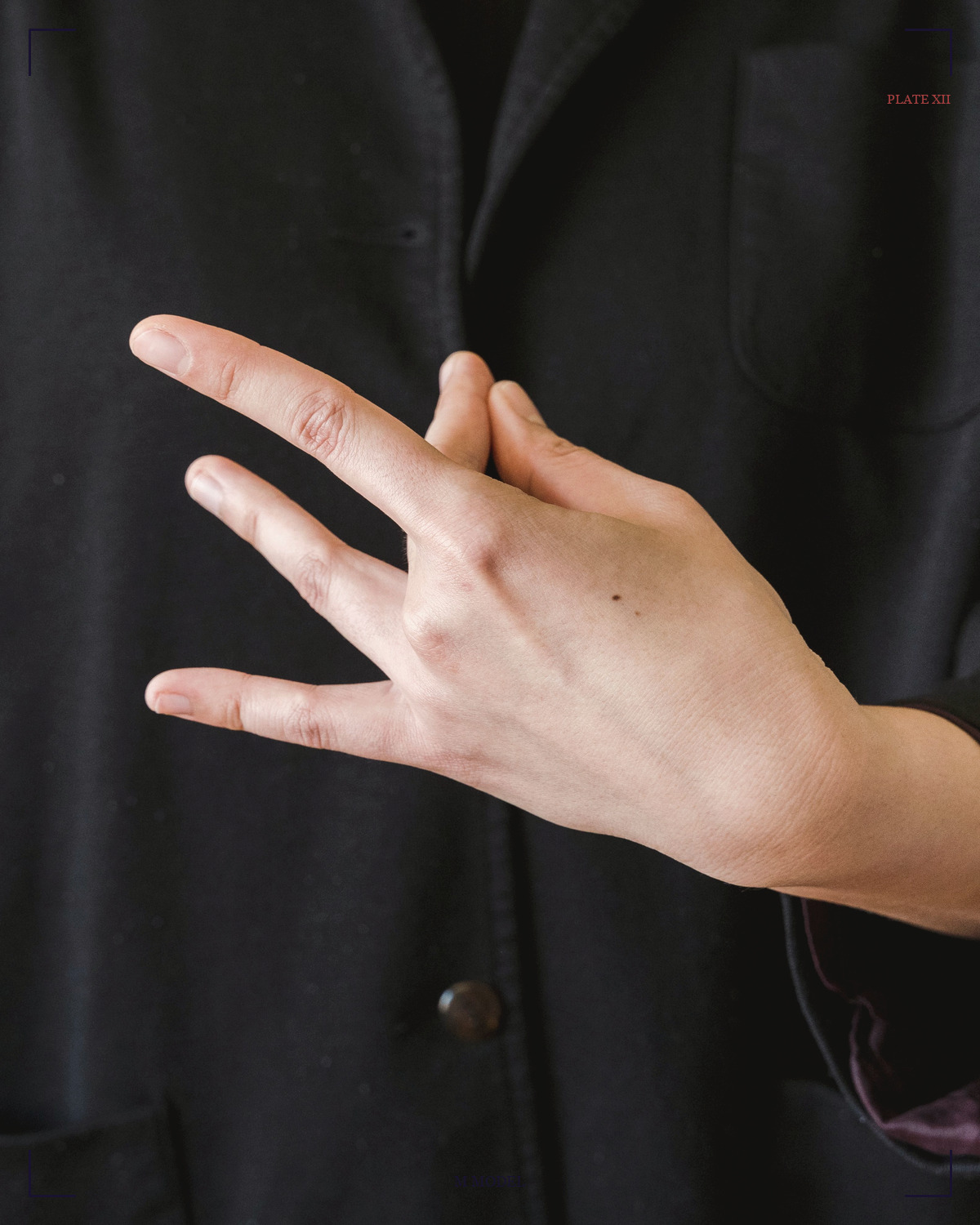 说法印 / Vitarka · Teaching mudra