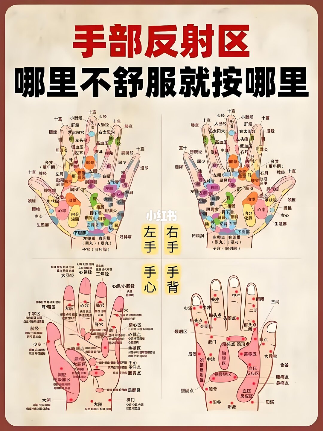 左手 · 掌心 hand model photo