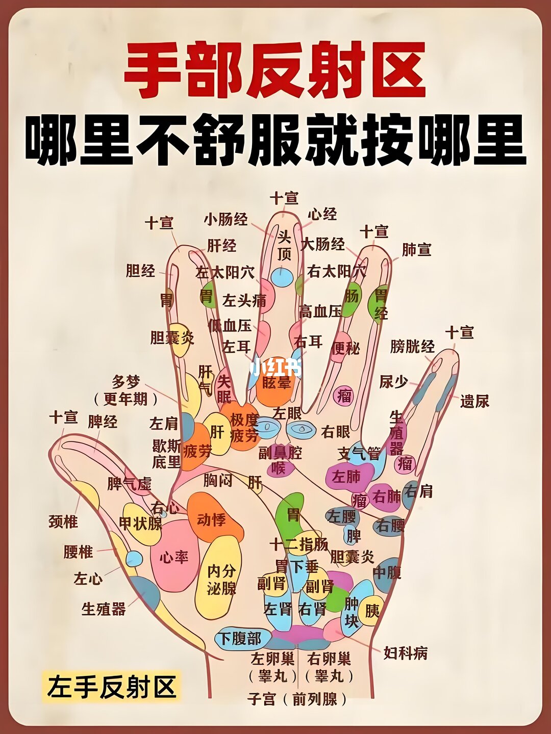 右手 · 掌心 hand model photo
